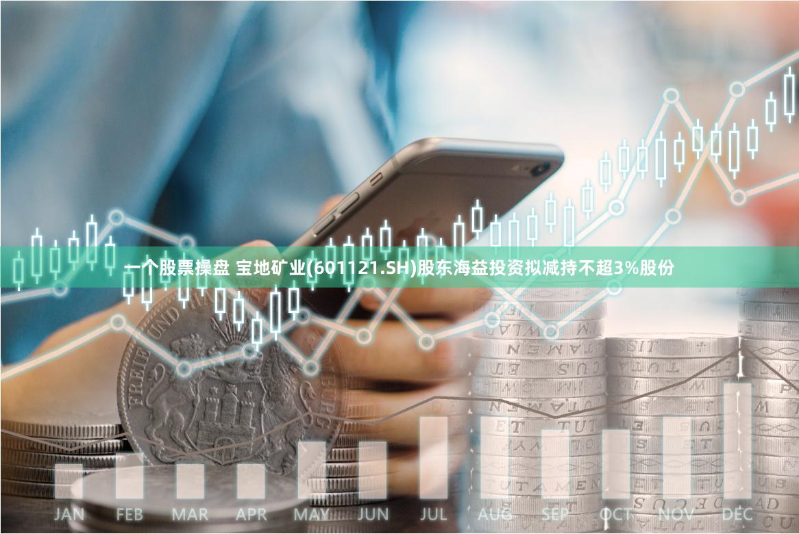 一个股票操盘 宝地矿业(601121.SH)股东海益投资拟减持不超3%股份