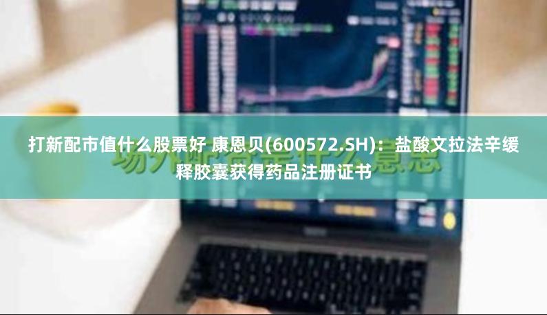打新配市值什么股票好 康恩贝(600572.SH)：盐酸文拉法辛缓释胶囊获得药品注册证书