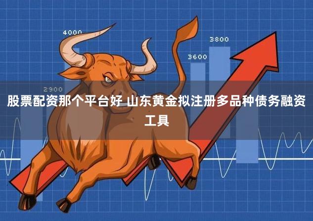 股票配资那个平台好 山东黄金拟注册多品种债务融资工具