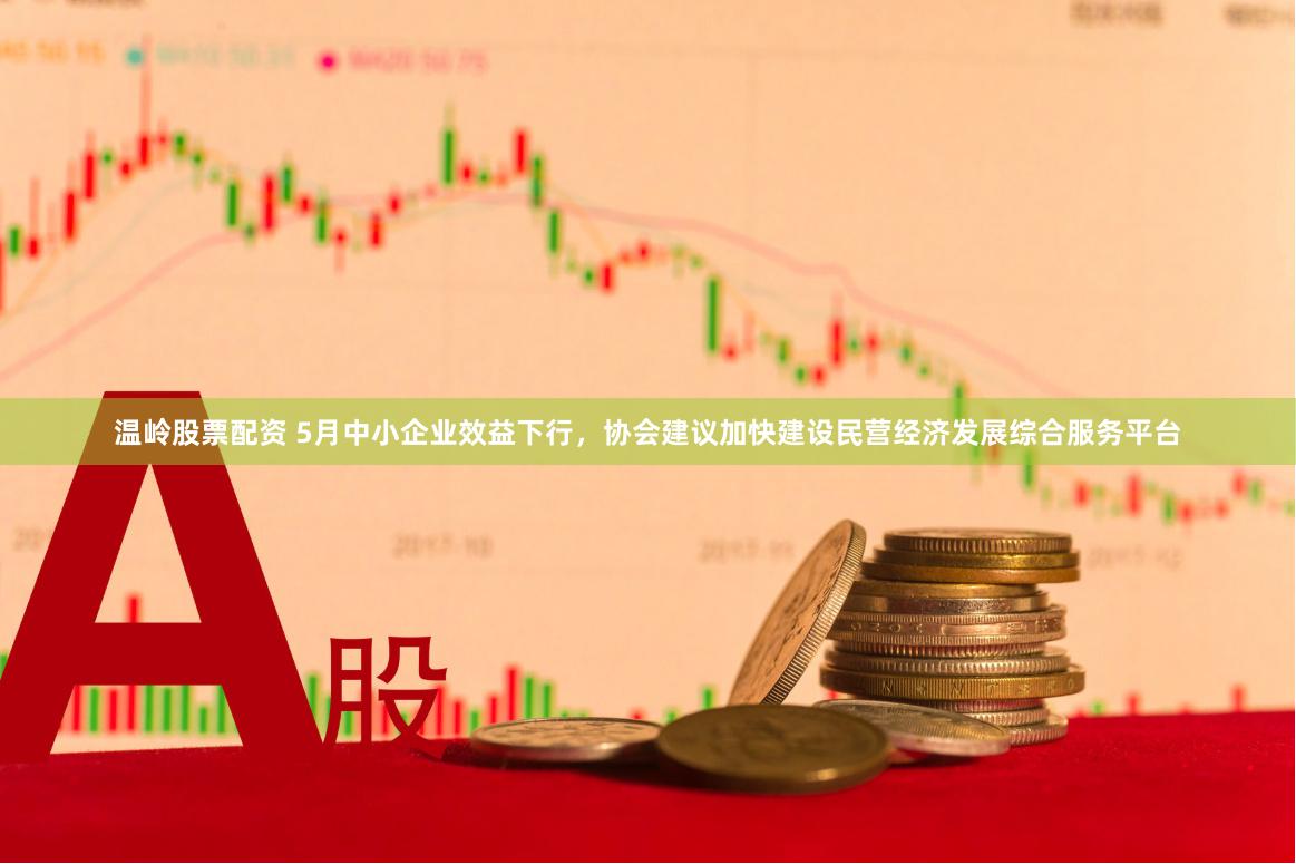温岭股票配资 5月中小企业效益下行，协会建议加快建设民营经济发展综合服务平台