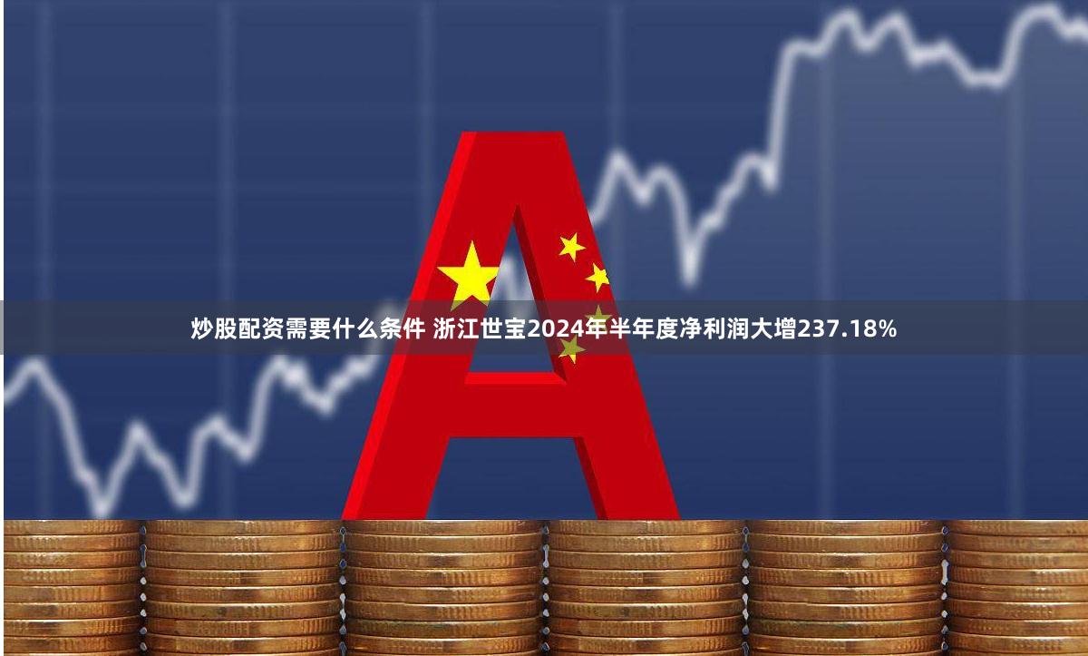 炒股配资需要什么条件 浙江世宝2024年半年度净利润大增237.18%