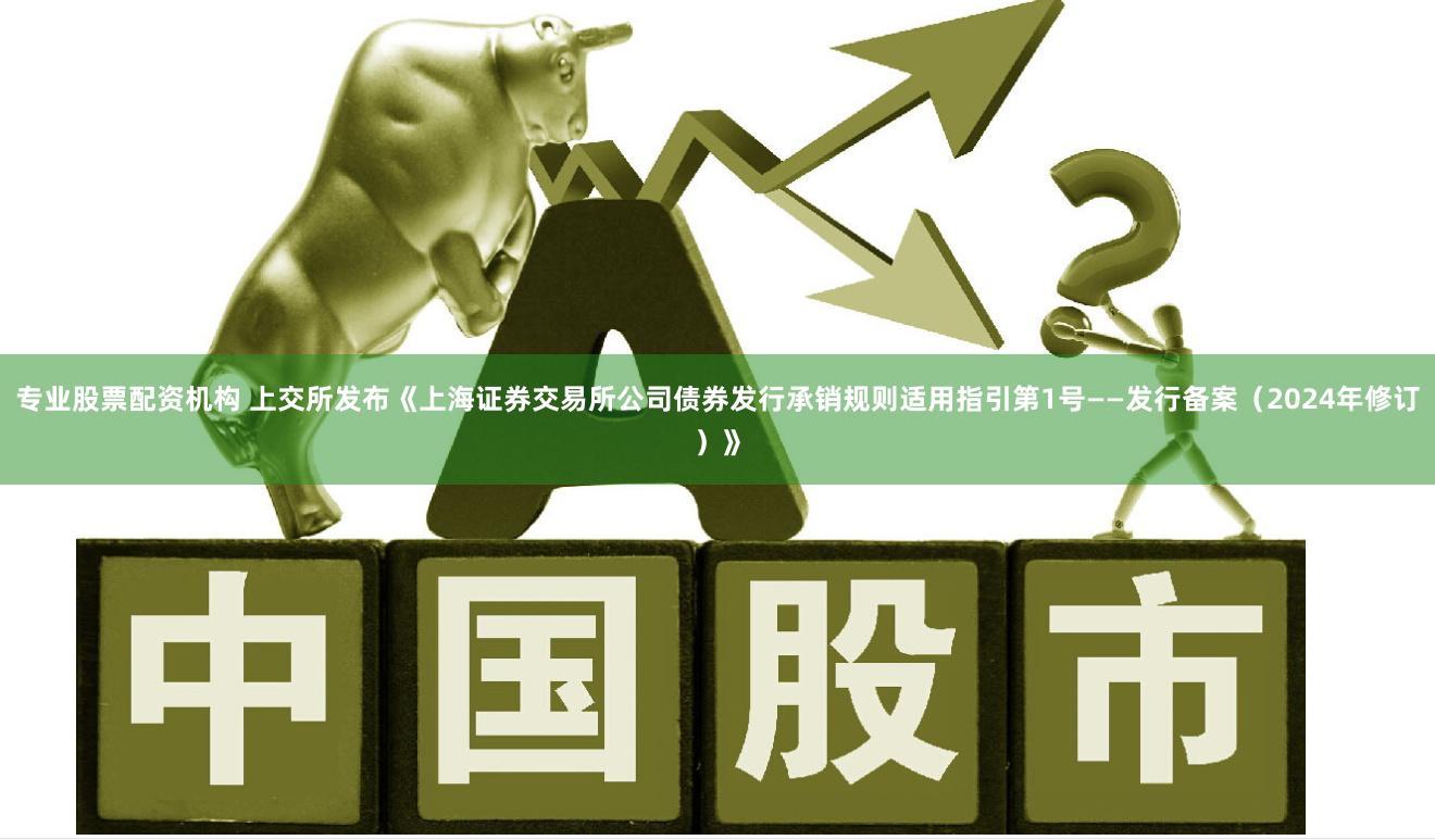 专业股票配资机构 上交所发布《上海证券交易所公司债券发行承销规则适用指引第1号——发行备案（2024年修订）》