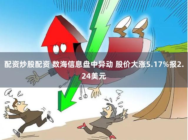 配资炒股配资 数海信息盘中异动 股价大涨5.17%报2.24美元
