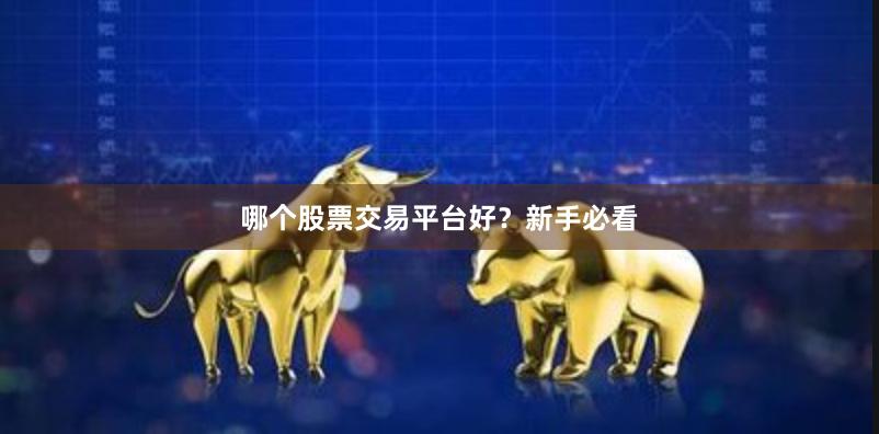哪个股票交易平台好？新手必看